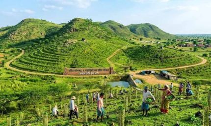 सोनभद्र की छह पहाड़ियों पर ट्रेंच तकनीक से बड़े पैमाने पर पौधारोपण की तैयारी