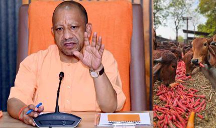 गो सेवा में देश-दुनिया के लिए रोल मॉडल बना यूपी