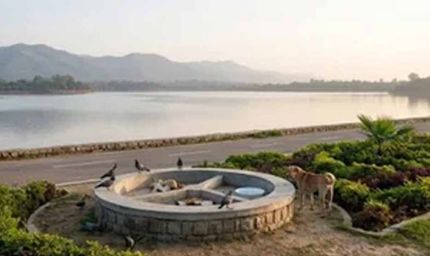 सुखना लेक पर गंदगी रोकने की तैयारी, नगर निगम बनाएगा सामुदायिक पशुओं के 8 फीडिंग प्वाइंट्स