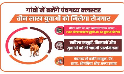 गांवों में बनेंगे पंचगव्य क्लस्टर, तीन लाख युवाओं को मिलेगा रोजगार