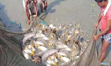 15 अगस्त तक मछली पकड़ने पर प्रतिबंध, प्रजनन काल में संरक्षण पर जोर