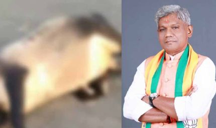 छत्तीसगढ़ गौ सेवा आयोग अध्यक्ष की कार से टकराई बाइक, पुलिस ने दो आरोपियों को दबोचा
