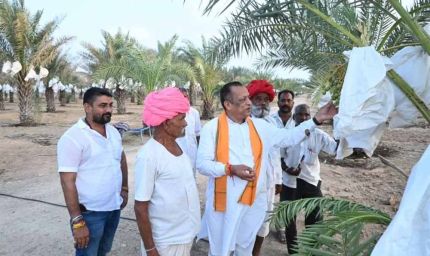 पाली में मंत्री ने देखा प्राकृतिक खजूर बाग, किसान की 10 लाख आय