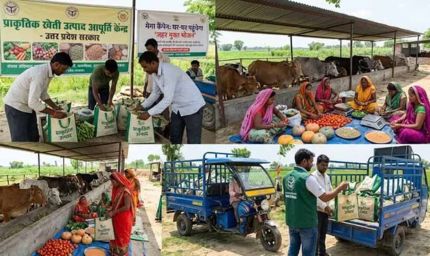 यूपी में ‘जहर मुक्त भोजन’ अभियान की तैयारी, गोशालाएं बनेंगी सप्लाई सेंटर