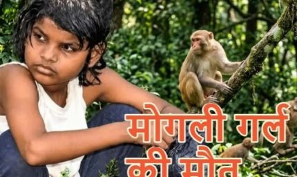 बंदरों के बीच मिली बच्ची की दर्दनाक कहानी का अंत, नहीं रहीं एहसास
