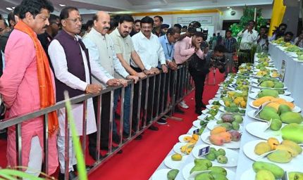 धनबाद आमोत्सव में दिखा जापानी मियाज़ाकी आम का क्रेज, कीमत 3 लाख रुपये किलो