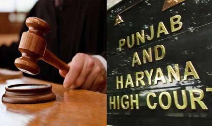 MPHW भर्ती पर हाई कोर्ट का बड़ा आदेश, अनुभव के अंक जोड़कर दोबारा बनेगी मेरिट सूची