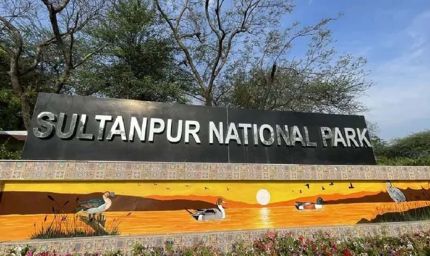 सुल्तानपुर राष्ट्रीय उद्यान में AI और ड्रोन से होगी पक्षियों की गिनती, पहली बार बनेगा डिजिटल रिकॉर्ड
