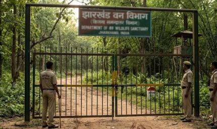 झारखंड के सभी वन क्षेत्रों में 1 जुलाई से 3 महीने तक पर्यटन और गतिविधियों पर रोक
