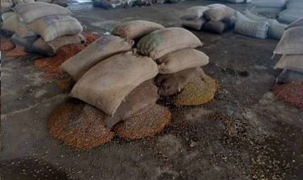 राजनांदगांव मंडी में जलभराव से हाहाकार, चबूतरों पर रखा धान भी भीगा