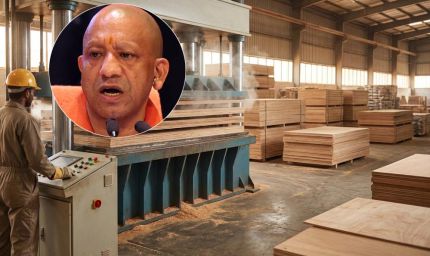 योगी सरकार प्लाईवुड उद्योग के लिए नई एग्रोफॉरेस्ट्री नीति पर कर रही विचार