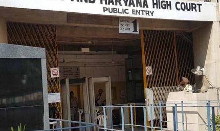 Punjab News: परियोजना बंद होने पर संविदा वैज्ञानिक की नौकरी खत्म, हाईकोर्ट ने बहाली से किया इनकार