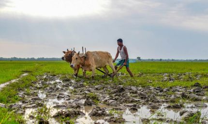 Al-Niño Effect: केरल में कमजोर पड़ा मानसून, 33% कम बारिश से किसानों की बढ़ी चिंता