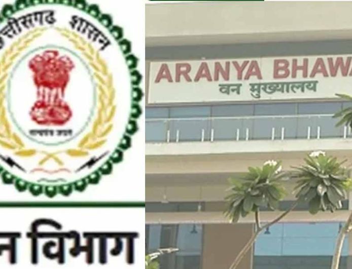 छत्तीसगढ़ वन विभाग में बड़ा फेरबदल, चार वरिष्ठ IFS अधिकारियों को मिली नई जिम्मेदारी