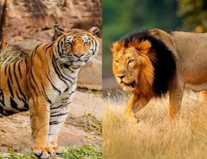 उदयपुर के जयसमंद क्षेत्र में ऐतिहासिक वन्यजीव क्षरण: एक अध्ययन