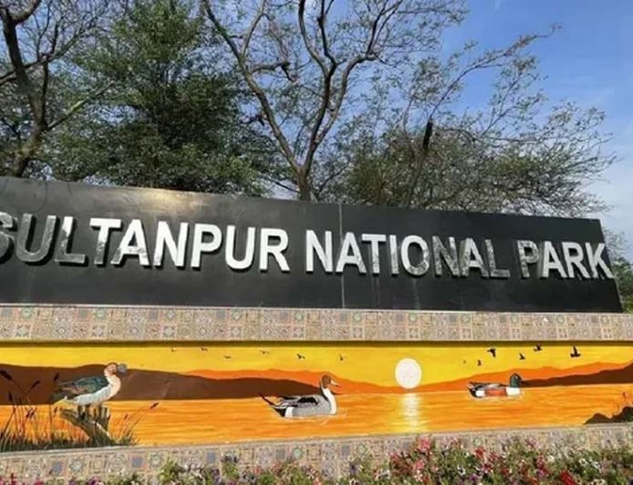 सुल्तानपुर राष्ट्रीय उद्यान में AI और ड्रोन से होगी पक्षियों की गिनती, पहली बार बनेगा डिजिटल रिकॉर्ड
