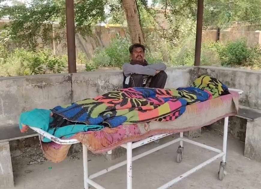 धमतरी में मधुमक्खियों का कहर, हमले में सास की मौत; दामाद की हालत गंभीर