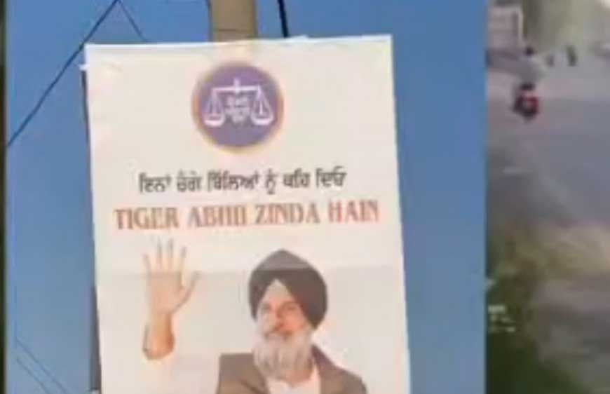 मजीठा में पोस्टर वॉर तेज: 'भगोड़ा' के जवाब में लगे 'टाइगर अभी जिंदा है' के पोस्टर