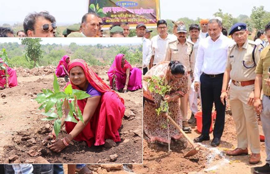ग्लोबल वार्मिंग और जलवायु परिवर्तन आज की सबसे गंभीर चुनौती : मंत्री भूरिया