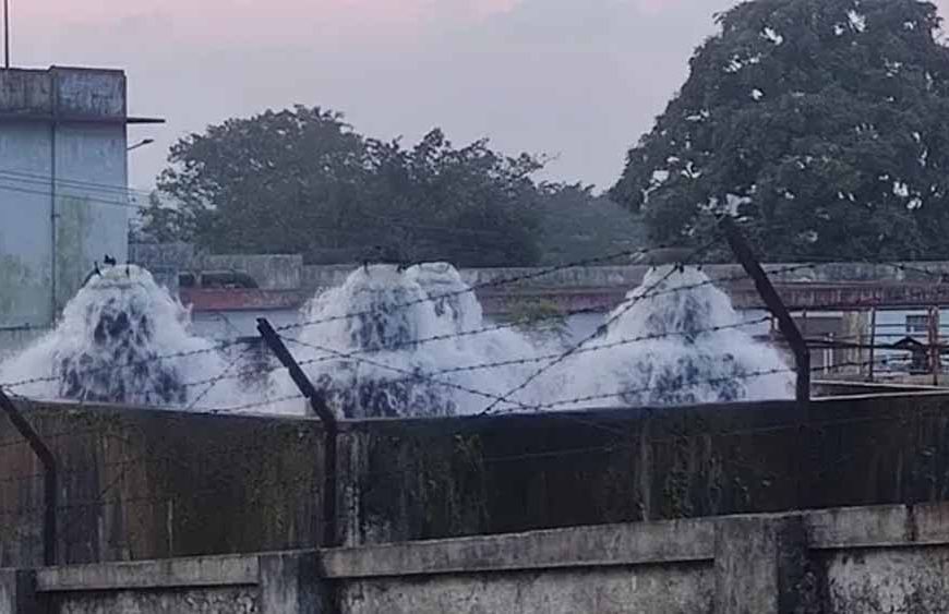 कांके डैम के संरक्षण के लिए निगम का बड़ा अभियान, बनेगी स्पेशल टास्क फोर्स