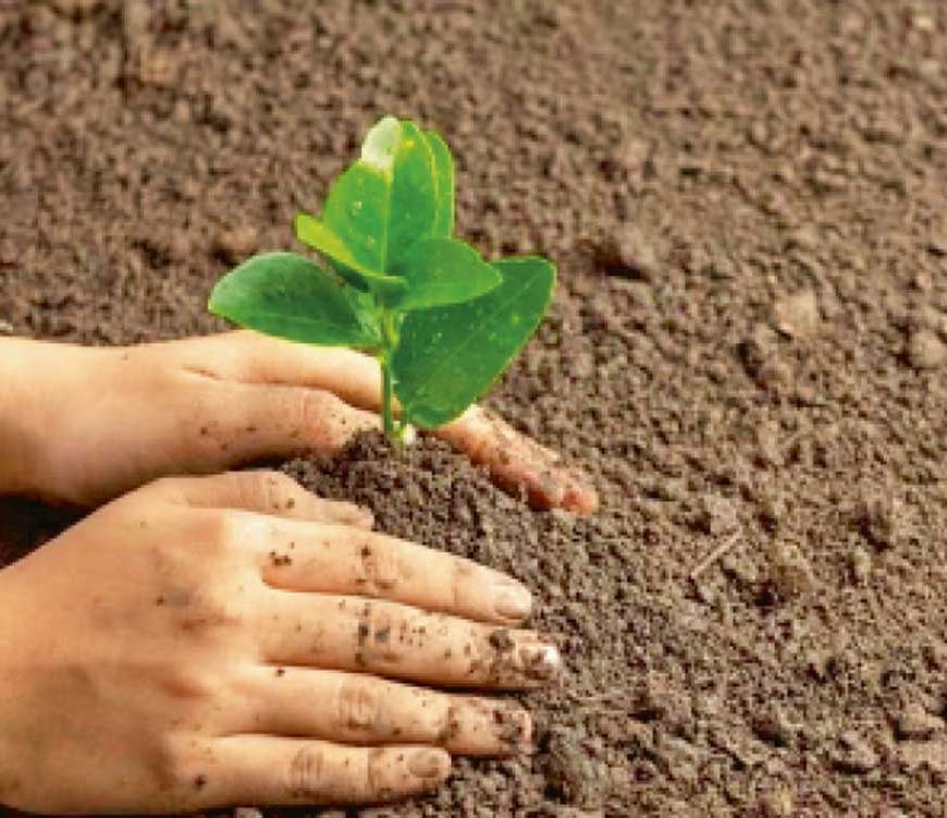 एक पेड़ मां के नाम 3.0’ अंतर्गत राज्यभर में पहले ही दिन 6 लाख पौधों का रोपण किया जाएगा