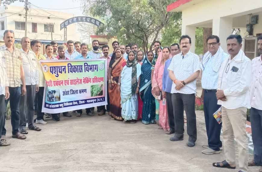 दुग्ध उत्पादन से बढ़ रही किसानों की आय, पशुधन विकास विभाग कर रहा प्रोत्साहित