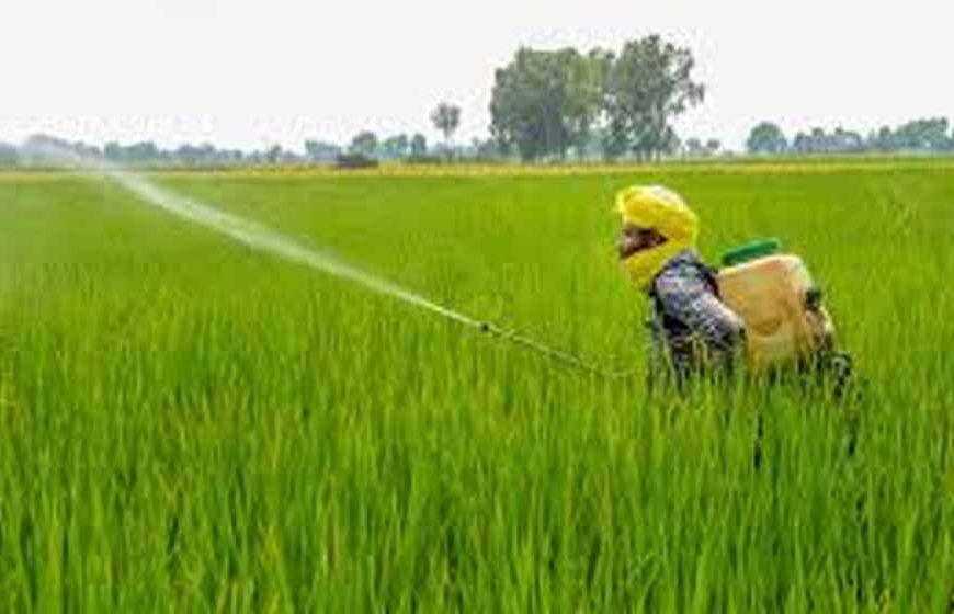 राजस्थान में चौंकाने वाले आंकड़े: कीटनाशक संपर्क से 2 साल में 535 किसानों की मौत