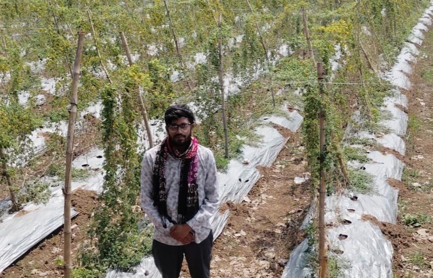 पारंपरिक खेती छोड़ करेले से बदली किस्मत, किसान दीपक ने कमाए 2.95 लाख रुपये का शुद्ध मुनाफा