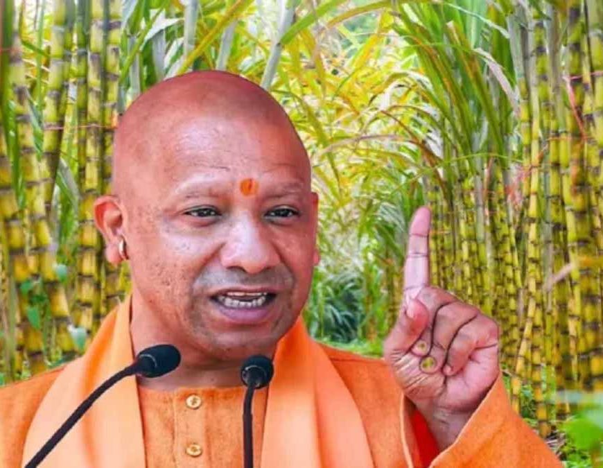 यूपी के गन्ना किसानों को 3.22 लाख करोड़ का रिकॉर्ड भुगतान, बदली खेती की तस्वीर