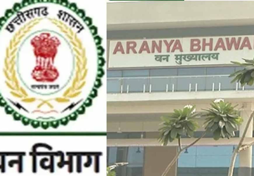 छत्तीसगढ़ वन विभाग में बड़ा फेरबदल, चार वरिष्ठ IFS अधिकारियों को मिली नई जिम्मेदारी