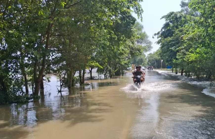 गुरदासपुर में रजबाहा टूटने से बड़ा संकट, सैकड़ों एकड़ फसल जलमग्न, कई गांवों की जलापूर्ति ठप
