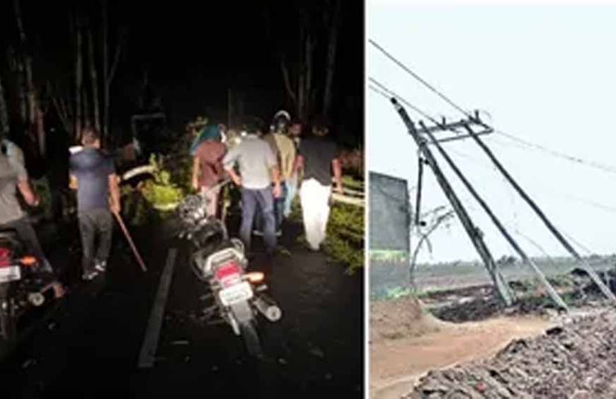 हरियाणा में मौसम का कहर, ब्लैकआउट के बीच फतेहाबाद में आंधी से सैकड़ों पेड़ और खंभे गिरे