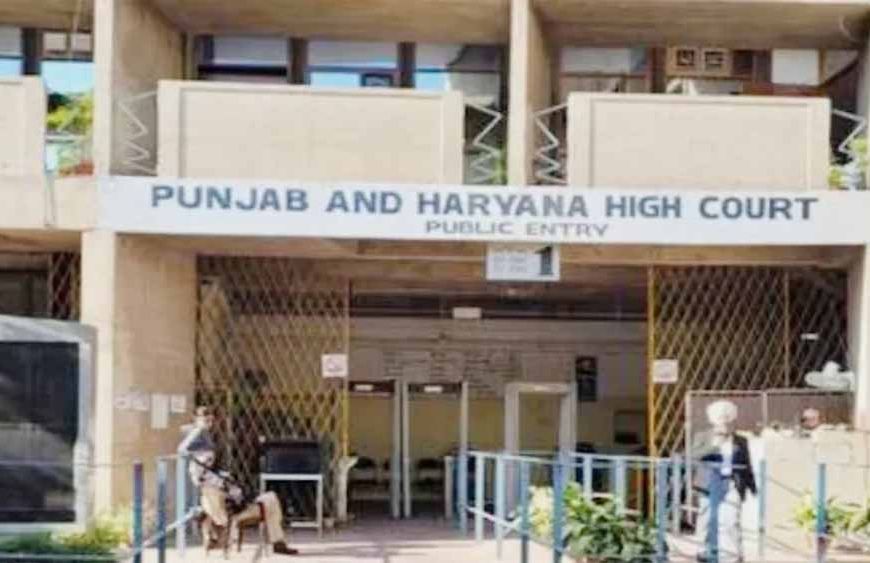 ‘चेहरा देखकर गर्भवती नहीं लगी’, महिला की मौत मामले में आंगनवाड़ी कार्यकर्ता की बर्खास्तगी बरकरार