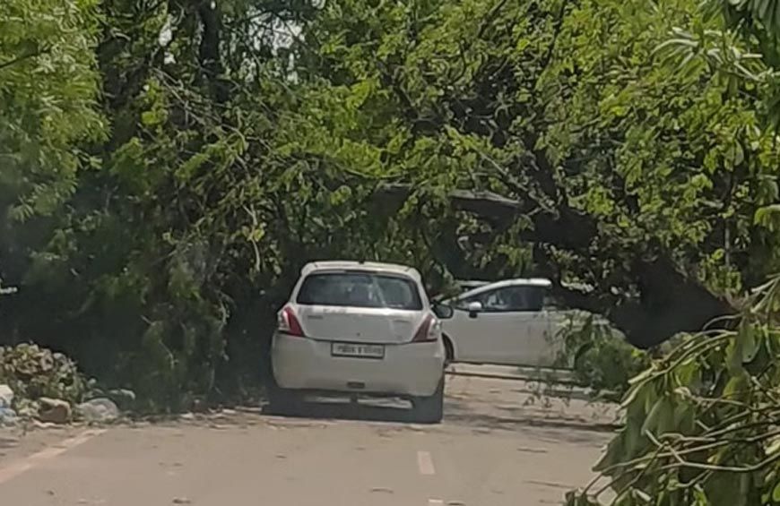 पंजाब-चंडीगढ़ में आंधी-बारिश का कहर: 3 मौतें, 850 बिजली खंभे और 129 ट्रांसफार्मर क्षतिग्रस्त