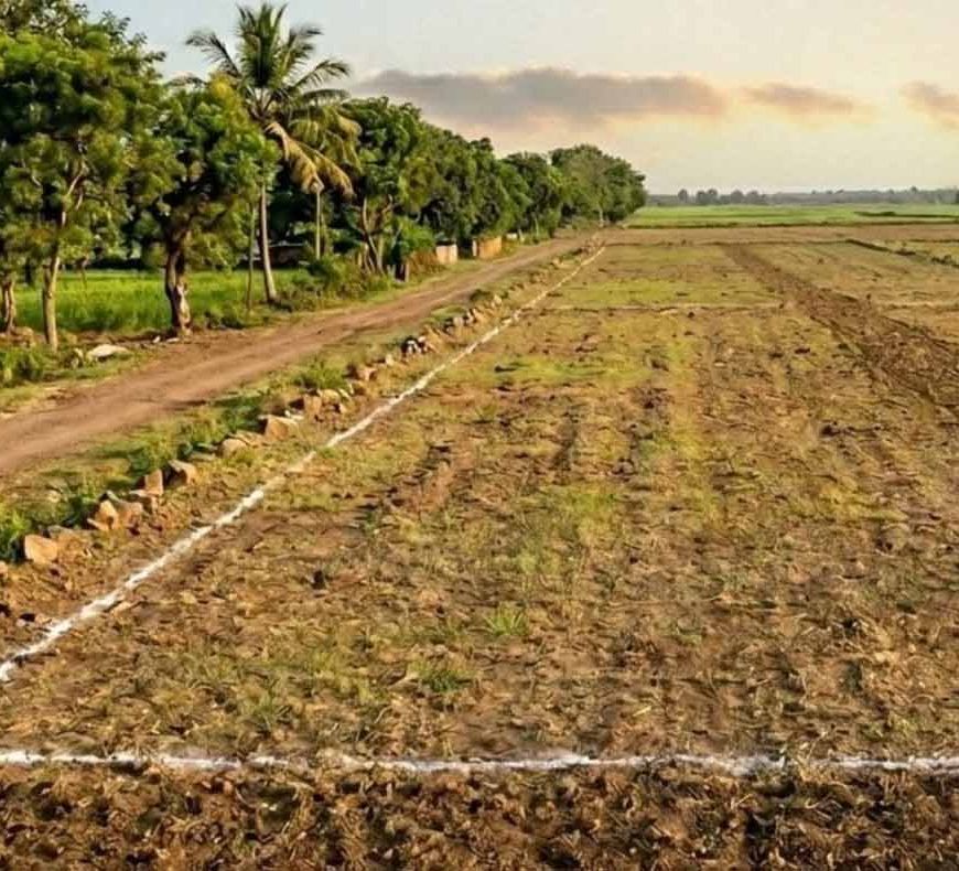 कन्नौज में 50 साल पुराने भू-सीलिंग विवाद का फैसला, 67 एकड़ जमीन सरकारी घोषित