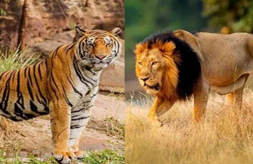 उदयपुर के जयसमंद क्षेत्र में ऐतिहासिक वन्यजीव क्षरण: एक अध्ययन