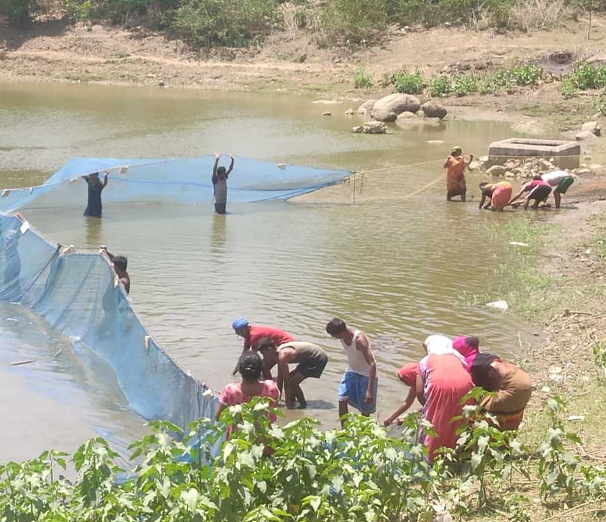 मत्स्य पालन बना ग्रामीण समृद्धि का सशक्त माध्यम