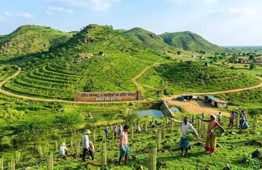 सोनभद्र की छह पहाड़ियों पर ट्रेंच तकनीक से बड़े पैमाने पर पौधारोपण की तैयारी