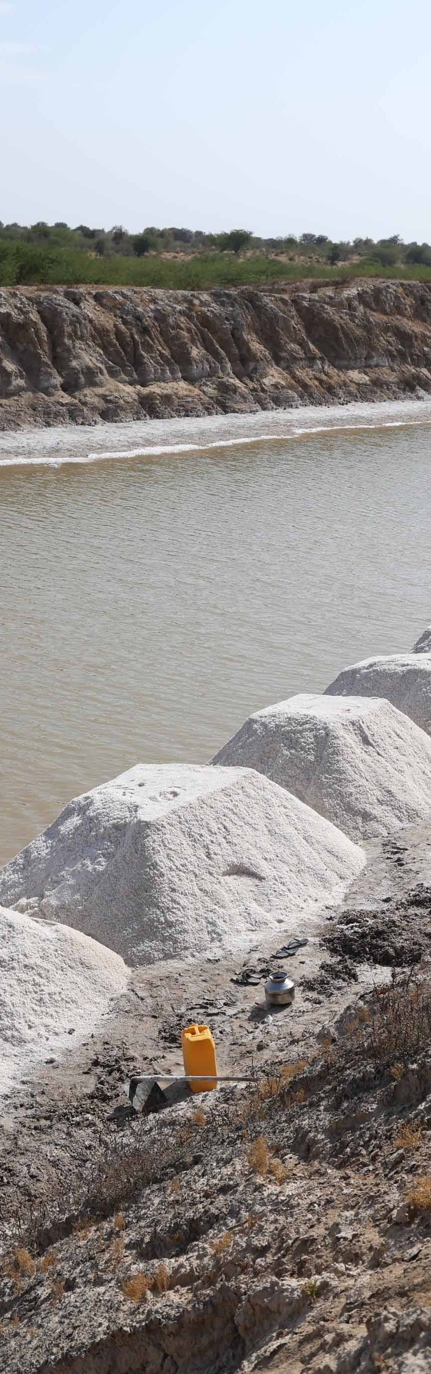 राजस्थान में नमक उद्योग को राहत, भूखंड आवंटन अब ई-ऑक्शन से होगा