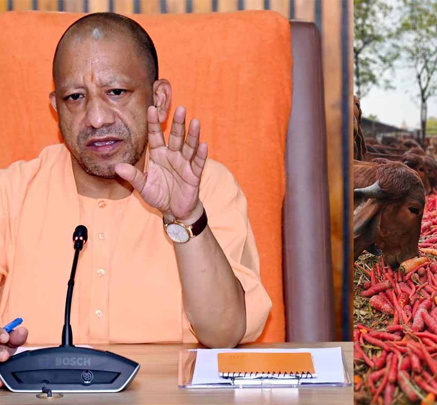 गो सेवा में देश-दुनिया के लिए रोल मॉडल बना यूपी