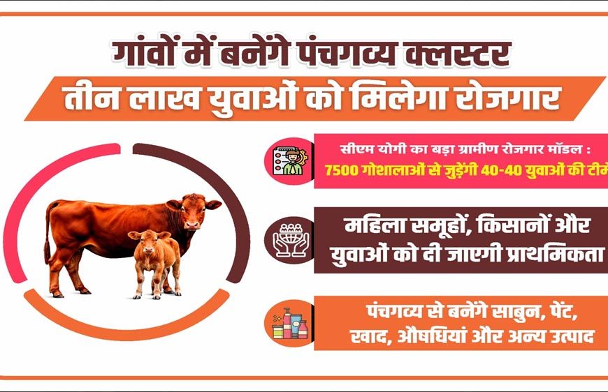 गांवों में बनेंगे पंचगव्य क्लस्टर, तीन लाख युवाओं को मिलेगा रोजगार