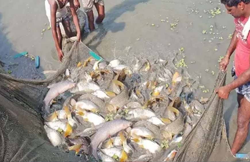 15 अगस्त तक मछली पकड़ने पर प्रतिबंध, प्रजनन काल में संरक्षण पर जोर