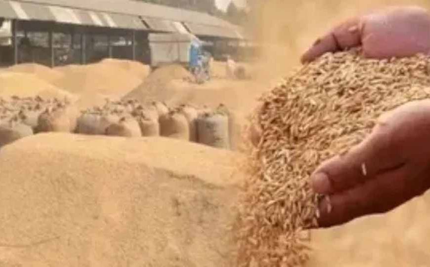 70 करोड़ के धान घोटाले की जांच 237 दिन बाद भी सुस्त, सिर्फ तीन गिरफ्तारियां