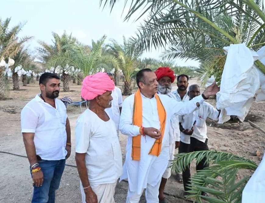 पाली में मंत्री ने देखा प्राकृतिक खजूर बाग, किसान की 10 लाख आय