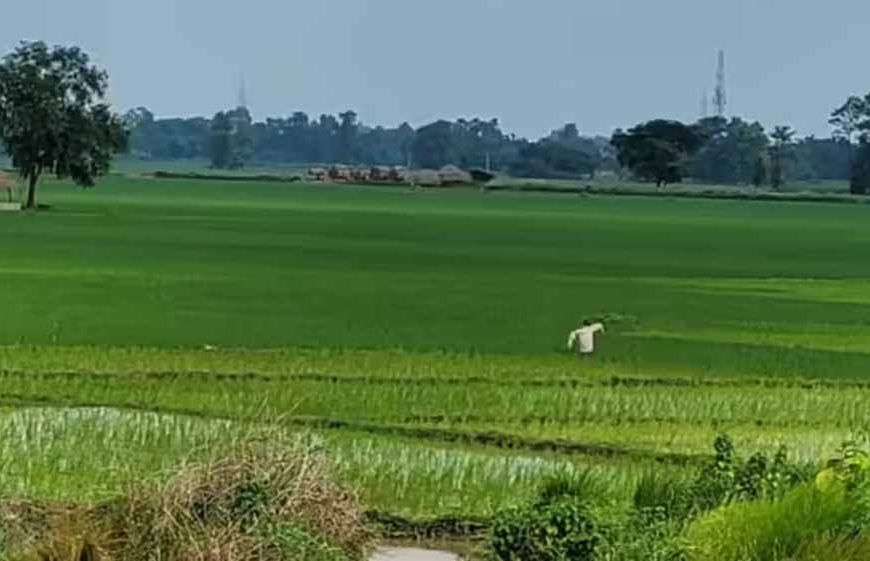 पटना समेत 11 शहरों में सैटेलाइट टाउनशिप की जमीन पर लगी खरीद-बिक्री की रोक हटाई गई