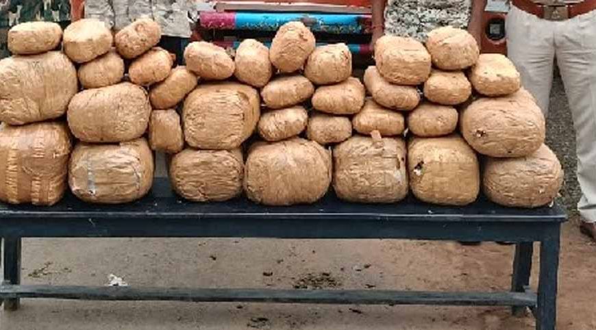 ओडिशा से राजस्थान जा रहा 1.44 करोड़ का गांजा पकड़ा, नाबालिग सहित 2 तस्कर गिरफ्तार