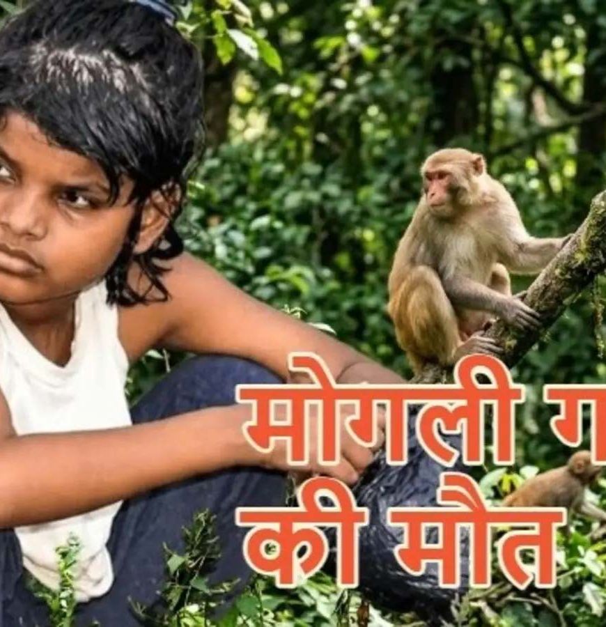 बंदरों के बीच मिली बच्ची की दर्दनाक कहानी का अंत, नहीं रहीं एहसास