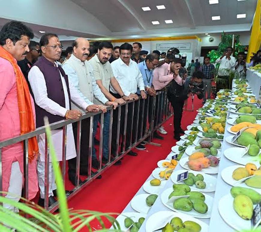 धनबाद आमोत्सव में दिखा जापानी मियाज़ाकी आम का क्रेज, कीमत 3 लाख रुपये किलो