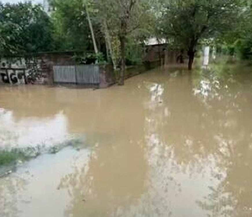 गुरदासपुर में टूटा नहर का किनारा, घरों और इलाकों में घुसा पानी; बाढ़ जैसे हालात