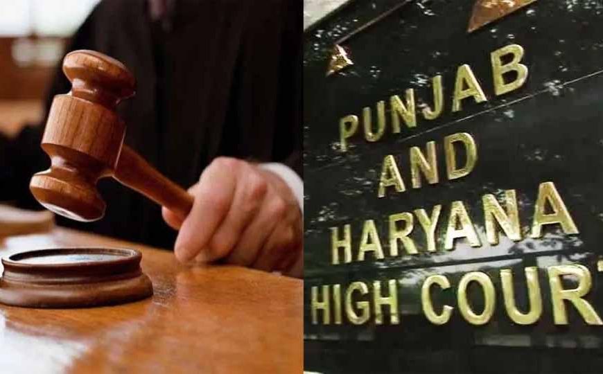 MPHW भर्ती पर हाई कोर्ट का बड़ा आदेश, अनुभव के अंक जोड़कर दोबारा बनेगी मेरिट सूची
